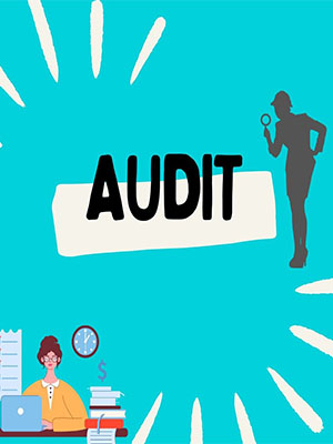 Audit & Assurance